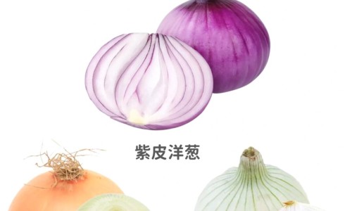 土虾的营养价值及功效-土虾功效网 :分享土虾的正确吃法-土虾的营养价值知识